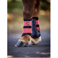 Gesloten peesbeschermers Mini LeMieux Chilli Rood Gesloten peesbeschermers Mini LeMieux Chilli Rood