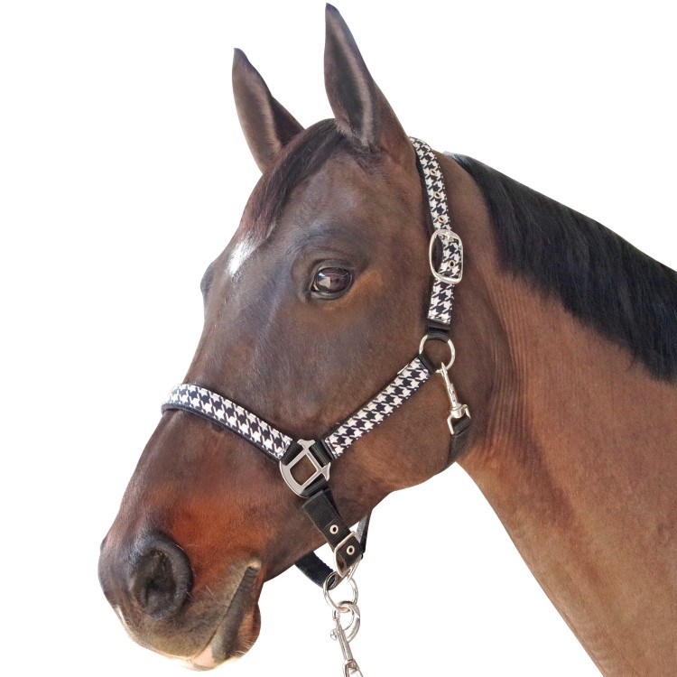 Set halster + lijn Pied de poule Canter Set halster + lijn Pied de poule Canter