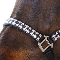 Set halster + lijn Pied de poule Canter Set halster + lijn Pied de poule Canter