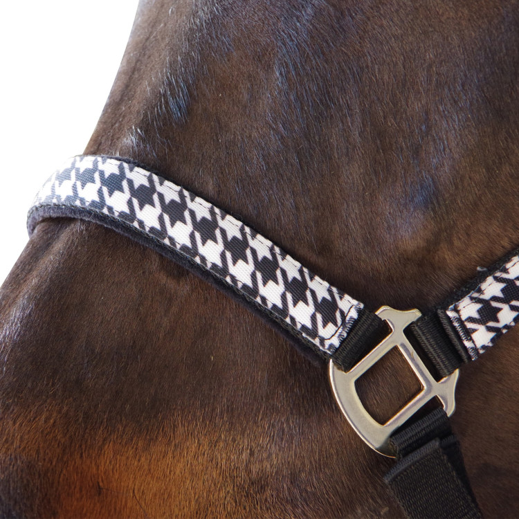 Set halster + lijn Pied de poule Canter Set halster + lijn Pied de poule Canter