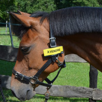 HippiCode klittenband