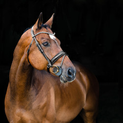 Anatomisch hoofdstel Clermont Horze Anatomisch hoofdstel Clermont Horze