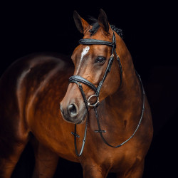 Filet Sion met teugels Horze
