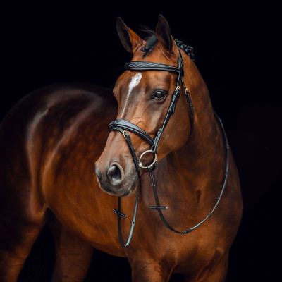 Filet Sion met teugels Horze Zwart