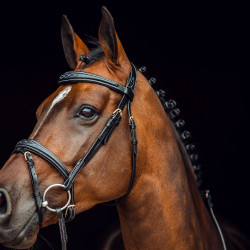 Filet Sion met teugels Horze Filet Sion met teugels Horze