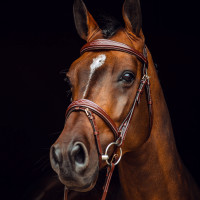 Filet Sion met teugels Horze Zwart