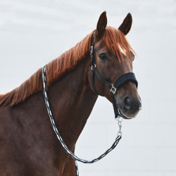 Halster Kiel met fleecevoering Horze Zwart Halster Kiel met fleecevoering Horze Zwart