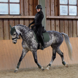 Adepto-beschermers Horze Kaki groene kever