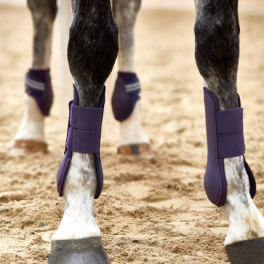 Adepto-beschermers Horze Cassiskleurig Violet