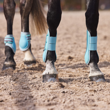 Adepto-beschermers Horze Adepto-beschermers Horze