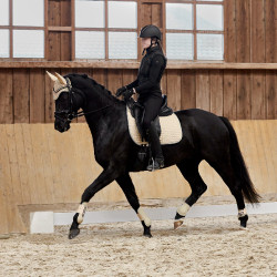 Adepto-beschermers Horze Adepto-beschermers Horze
