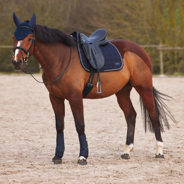 Neopreen gesloten peesbeschermers Horze Donker marineblauw Neopreen gesloten peesbeschermers Horze Donker marineblauw