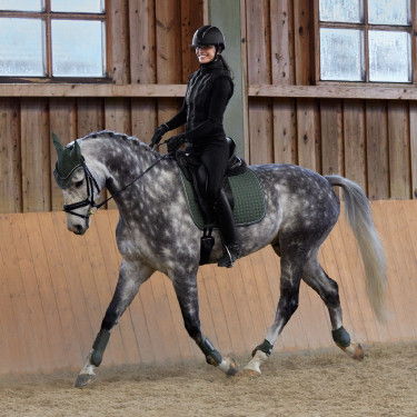 Kogelbeschermers Adepto Horze Kaki groene kever Kogelbeschermers Adepto Horze Kaki groene kever