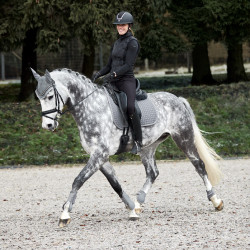 Kogelbeschermers Adepto Horze Staalgrijs