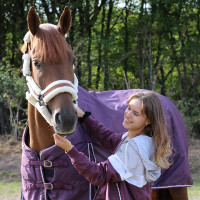 Halster Pénélope Soft Zwart / beige Halster Pénélope Soft Zwart / beige