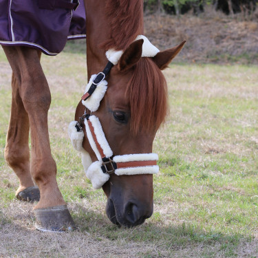 Halster Pénélope Soft Zwart / beige Halster Pénélope Soft Zwart / beige