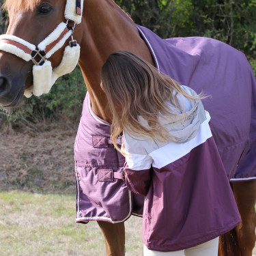 Blouson Pénélope Celecce Pruim Violet