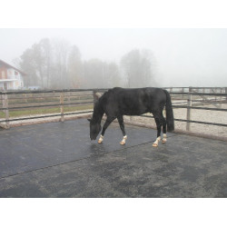 DELTA DIAM - SOL ALLEE ECURIE