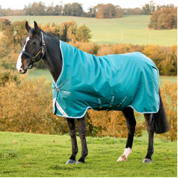 Horseware Dekens High Neck Amigo® Bravo 12 Original 250g 1200D Horseware Dekens High Neck Amigo® Bravo 12 Original 250g 1200D