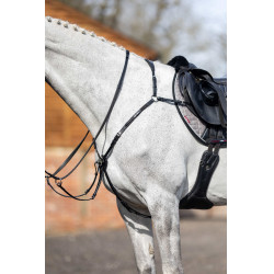 Jachtkruis met martingaal LeMieux Zwart