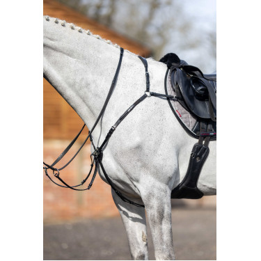 Jachtkruis met martingaal LeMieux Zwart