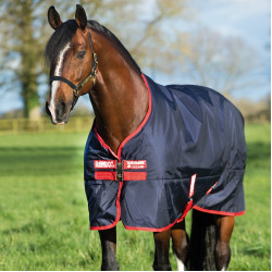 Buitendeken Horseware Rambo Original 200g