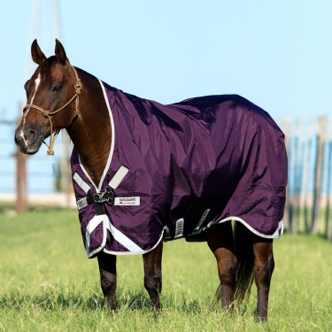 Horseware Outdoor Rambo Wug 0g 1000D deken Violet / zilver
