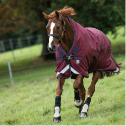 Horseware Outdoor deken Rambo Wug 200g