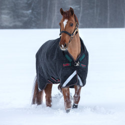 Buitendeken Horseware Rambo Wug 400g