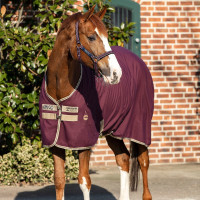 Boxdeken Horseware Amigo Delphinium 0g Vijg / marineblauw Violet Boxdeken Horseware Amigo Delphinium 0g Vijg / marineblauw Violet
