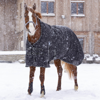 Waterdichte Oxford-deken Riding World Zwart