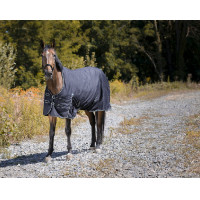 Waterdichte Oxford-deken Riding World Zwart Waterdichte Oxford-deken Riding World Zwart