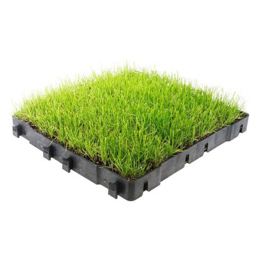 Stabilisatietegels Stab-Max