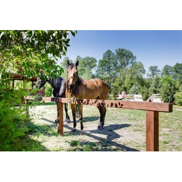 Stabilisatietegels Stab-Max