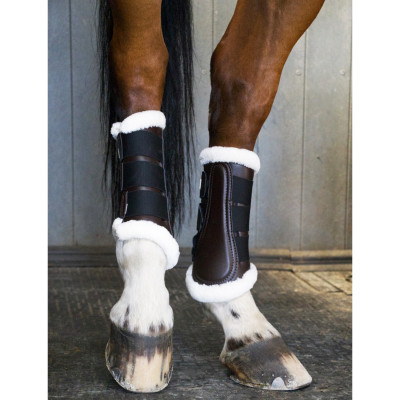 Guêtres dressage postérieurs T de T Marron / noir