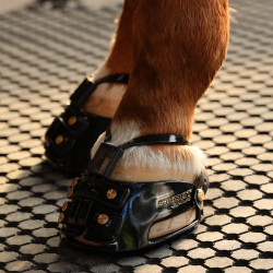 Hoefschoen Scoot Boots Enduro Hoefschoen Scoot Boots Enduro