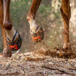 Hoefschoen Scoot Boots Enduro Hoefschoen Scoot Boots Enduro