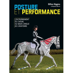 Houding en Prestaties