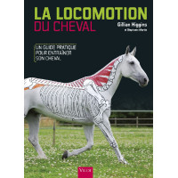 La Locomotion du Cheval La Locomotion du Cheval