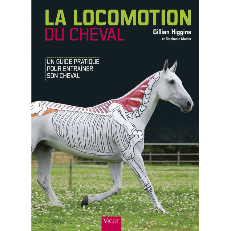 De Locomotie van het Paard