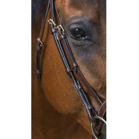 Bridon Eric Thomas Pro Wave Zwart