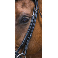 Bridon Eric Thomas Pro Design Zwart Bridon Eric Thomas Pro Design Zwart