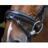 Bridon Eric Thomas Pro Design Zwart Bridon Eric Thomas Pro Design Zwart