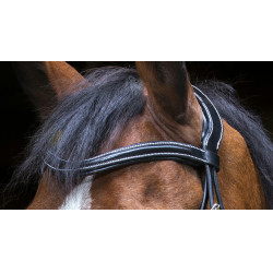 Bridon Eric Thomas Pro Design Zwart Bridon Eric Thomas Pro Design Zwart