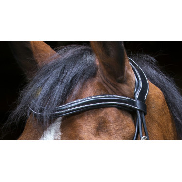 Bridon Eric Thomas Pro Design Zwart Bridon Eric Thomas Pro Design Zwart
