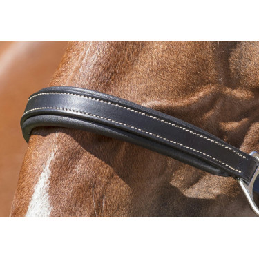 Lederen halster Norton Pro Grooming Zwart Lederen halster Norton Pro Grooming Zwart