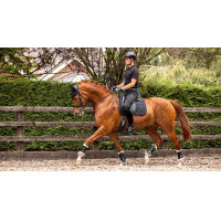 Tapis LeMieux dressage Soft Shell antidérapant Bordeaux Tapis LeMieux dressage Soft Shell antidérapant Bordeaux