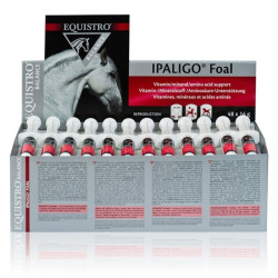 Equistro Ipaligo Veulen Equistro Ipaligo Veulen