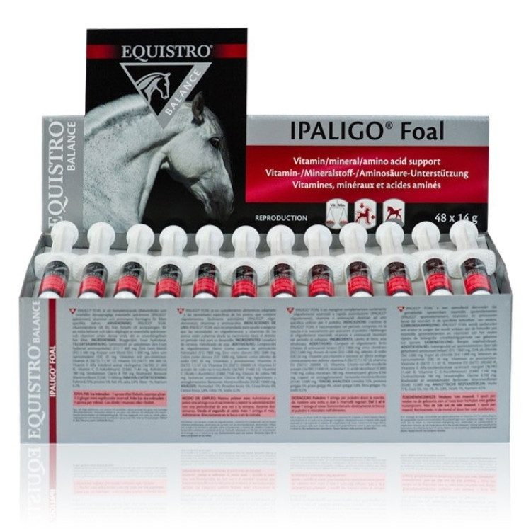 Equistro Ipaligo Veulen Equistro Ipaligo Veulen
