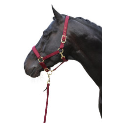 Halster Classy Covalliero Halster Classy Covalliero